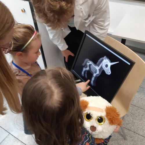 XRAY Einhorn